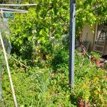 cohousing