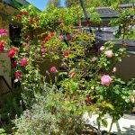 Cohousing 